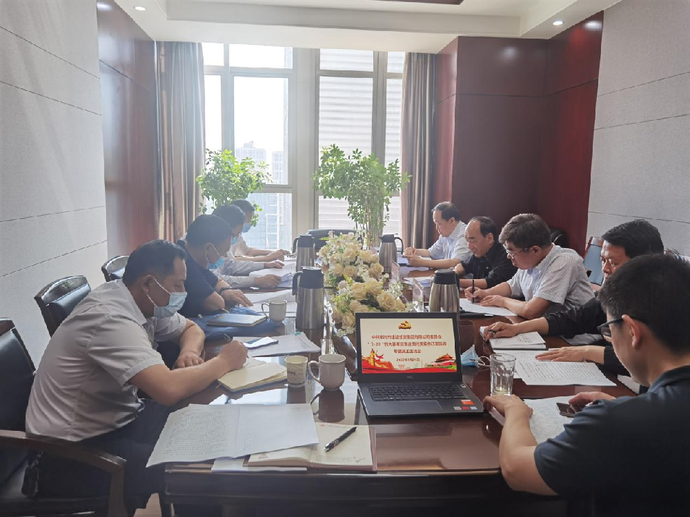 dcbox小金库官网党委领导班子召开“7·20”特大暴雨灾害追责问责案件以案促改专题民主生活会